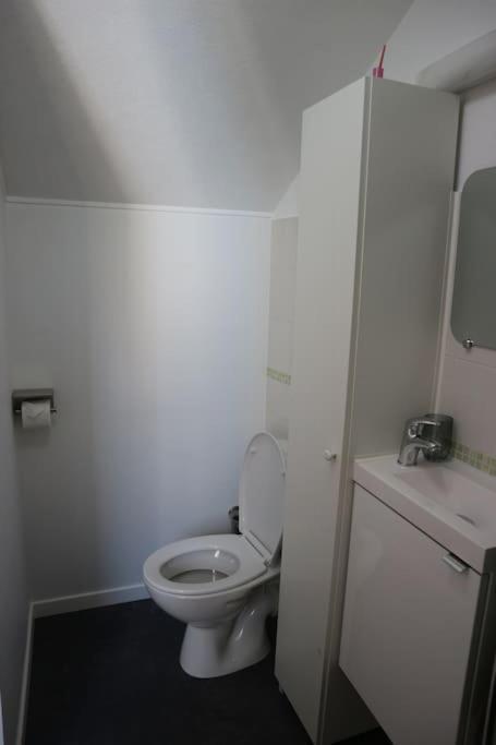 Petite Venise Du Gatinais - T2 Avec Jardin Holiday home Montargis